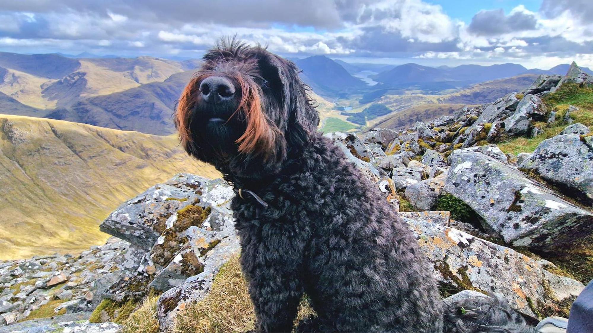 Bothan Creag Sobhrag Ballachulish